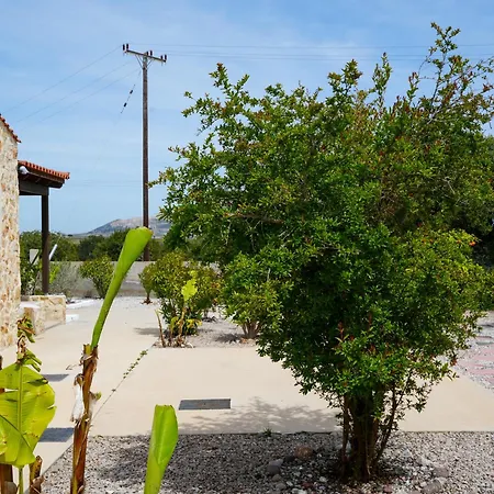 The Garden House