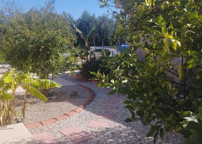 The Garden House *