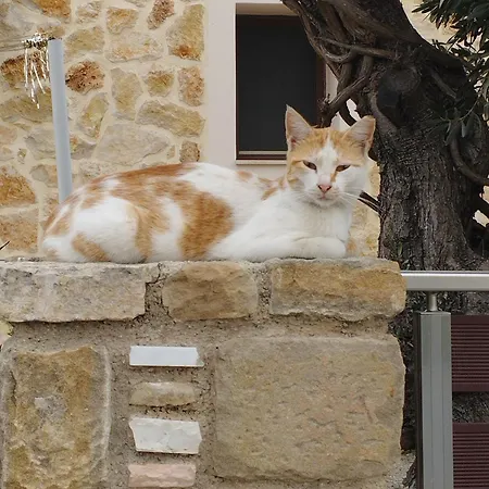 The Garden House Διαμέρισμα Αντιμάχεια