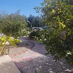 The Garden House *