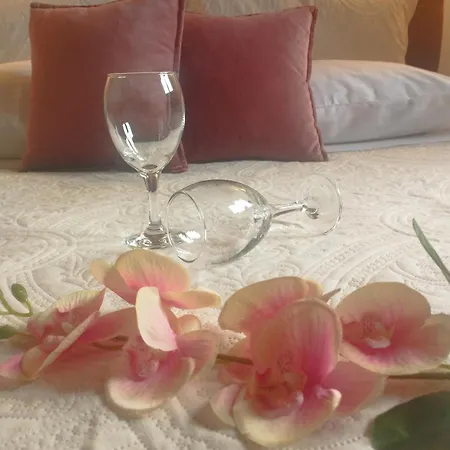 公寓 The Garden House