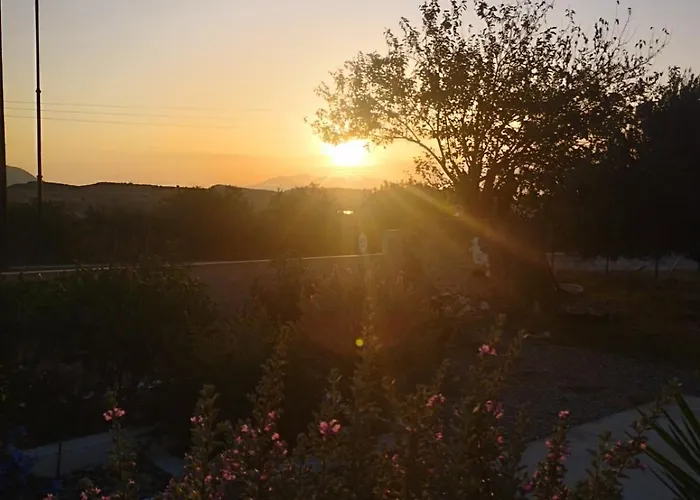 The Garden House