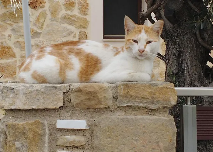 The Garden House Apartment Antimachia